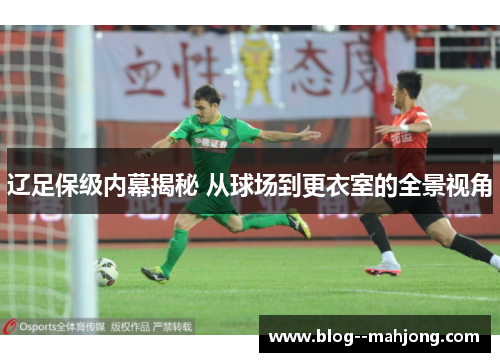 辽足保级内幕揭秘 从球场到更衣室的全景视角